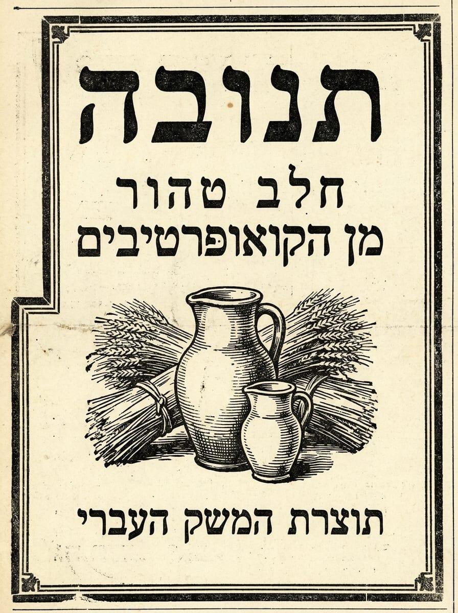 מודעת תנובה - חלב וגבינה
