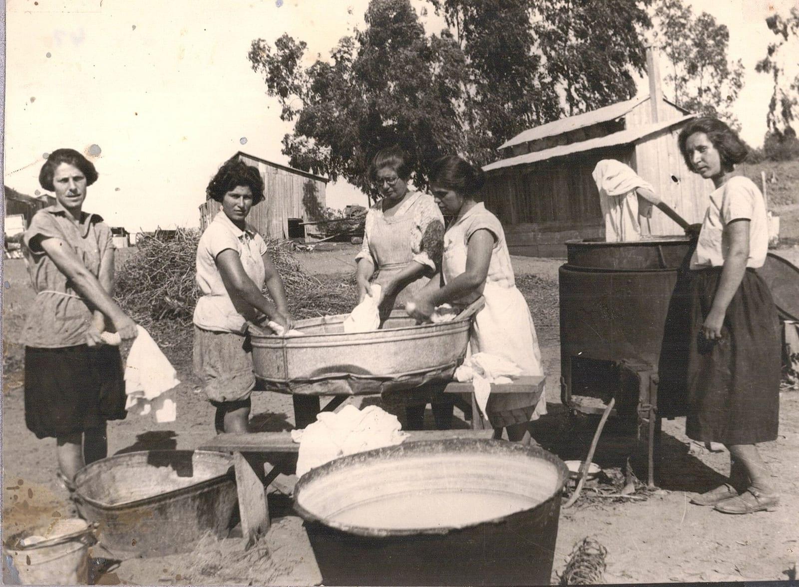 תצלום