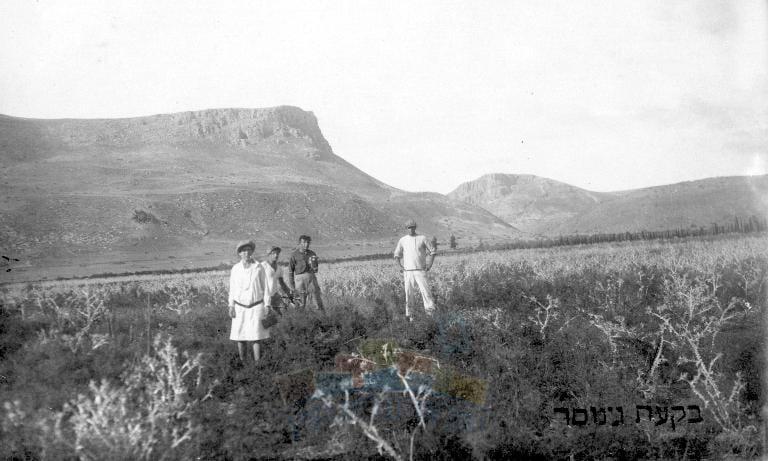 חלוצים וחלוצה בשדות מגדל אשר בבקעת גינוסר